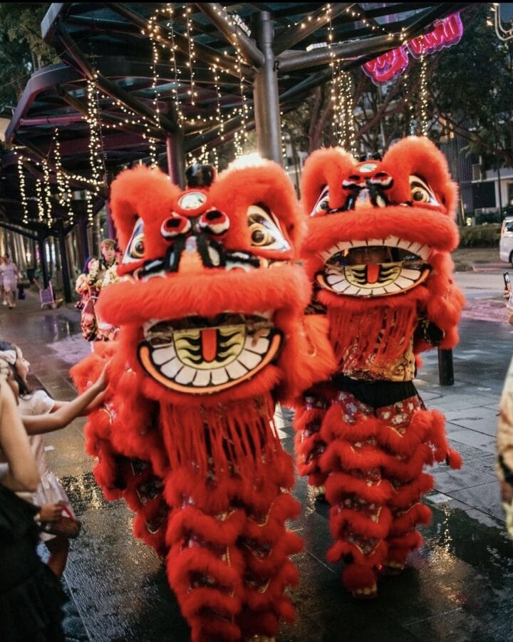 https://rsvp-communication.com/wp-content/uploads/2023/12/VIVA_Lion-Dance_1-e1707381584265.jpg